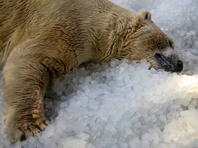 3,000 muertes en Inglaterra relacionadas con ola de calor mayo-junio