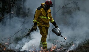 El incendio en Francia deja p&eacute;rdidas millonarias, ca&iacute;da del turismo y mensajes err&aacute;ticos