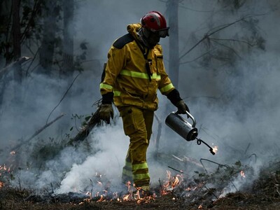 Incendio en Francia deja pérdidas millonarias, caída del turismo