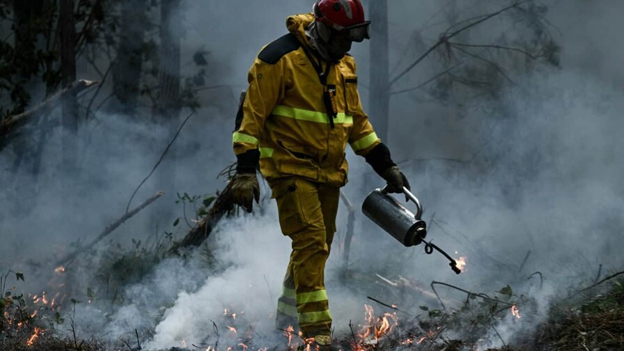 El incendio en Francia deja pérdidas millonarias, caída del turismo y mensajes erráticos El incendio en Francia deja pérdidas millonarias, caída del turismo y mensajes erráticos