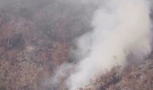 Reportan extinci&oacute;n de incendio forestal en valle del Tetero