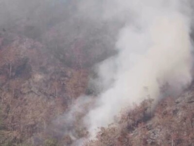 Extinción de incendio forestal en Parque José del Carmen Ramírez