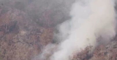 Reportan extinci&oacute;n de incendio forestal en valle del Tetero