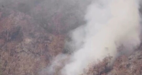 Reportan extinci&oacute;n de incendio forestal en valle del Tetero