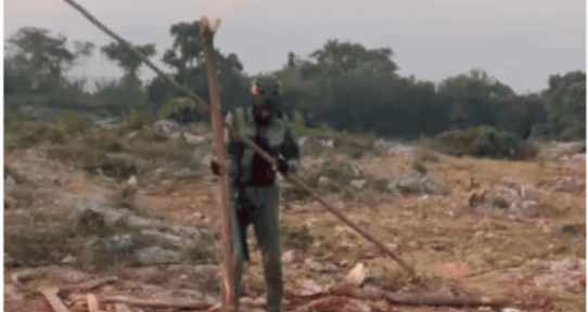 Autoridades despliegan operativos para prevenir nuevos incendios forestales