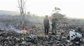 Autoridades despliegan operativos para prevenir nuevos incendios forestales
