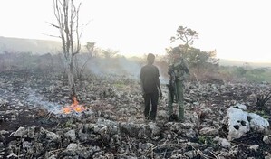 Autoridades despliegan operativos para prevenir nuevos incendios forestales