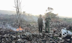 Autoridades despliegan operativos para prevenir nuevos incendios forestales
