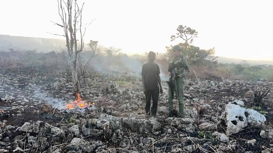 Autoridades despliegan operativos para prevenir nuevos incendios forestales