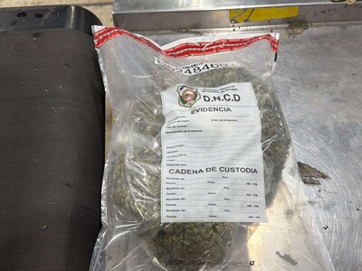 Incautan marihuana en el Aeropuerto Las Américas