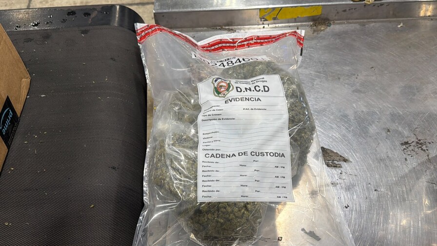 Narcotraficantes usaron latas de mantequilla de man&iacute; para ocultar marihuana