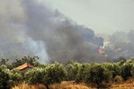 Las llamas amenazan Atenas, miles de bomberos luchan contra los incendios en toda Grecia