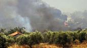 Las llamas amenazan Atenas, miles de bomberos luchan contra los incendios en toda Grecia