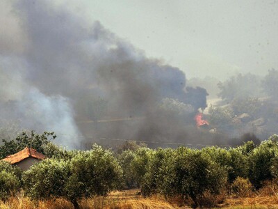 Miles de bomberos luchan contra incendios forestales en toda Grecia