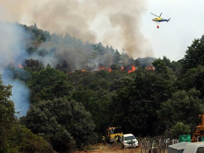 España: comienzan a levantar evacuaciones por incendios forestales