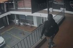 Hombre balea a una mujer en la Lincoln cuando trataba de intimidar a testigo de un juicio