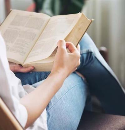 De los fiordos islandeses al Madrid del arte: 12 novelas negras para leer en agosto