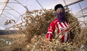 Fen&oacute;meno de El Ni&ntilde;o podr&iacute;a afectar negativamente el empleo en Latinoam&eacute;rica, advierte OIT