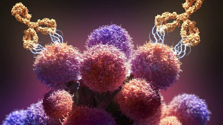 Usarán anticuerpo monoclonal contra virus respiratorio que ha matado 13 niños en Panamá Usarán anticuerpo monoclonal contra virus respiratorio que ha matado 13 niños en Panamá