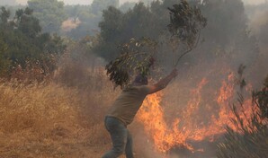 El incendio en &Aacute;tica sigue propag&aacute;ndose hacia Atenas, mientras remiten los dem&aacute;s frentes