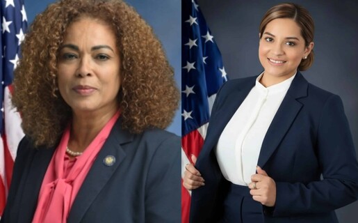 Por primera vez, dos dominicanas se enfrentan por un esca&ntilde;o en la Asamblea de Nueva York