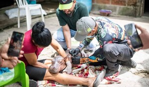 Rescatan en Colombia a un hipop&oacute;tamo beb&eacute; de la colonia de Escobar