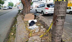 Un hombre y una ni&ntilde;a mueren tras ser embestidos por una camioneta en el sector Los R&iacute;os