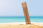 ¿Cómo afecta el calor a los pulmones? Riesgos y consejos para proteger la respiración ¿Cómo afecta el calor a los pulmones? Riesgos y consejos para proteger la respiración