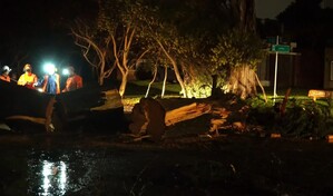 Cicl&oacute;n extratropical deja un fallecido y casas sin techo en Uruguay