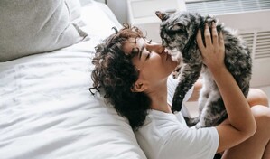 Por qu&eacute; el 8 de agosto se celebra el D&iacute;a Internacional del Gato