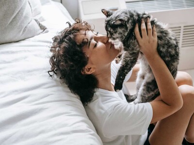 Día Internacional del Gato: por qué se celebra el 8 de agosto