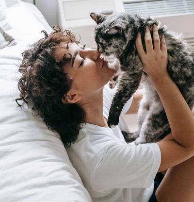 Por qu&eacute; el 8 de agosto se celebra el D&iacute;a Internacional del Gato