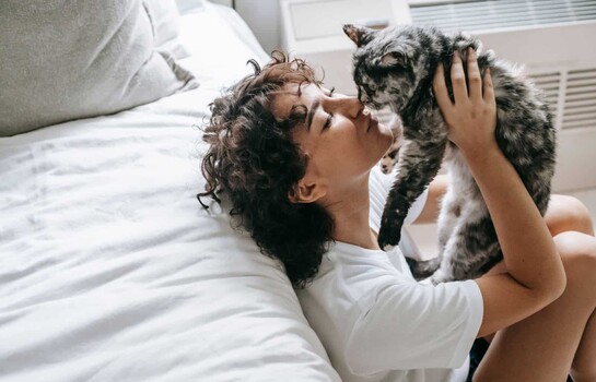 Por qu&eacute; el 8 de agosto se celebra el D&iacute;a Internacional del Gato