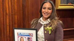 Dominicana demanda a los Yankees por US$10 MM tras ser golpeada por un bate Dominicana demanda a los Yankees por US$10 MM tras ser golpeada por un bate