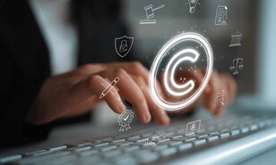 El escudo penal de la innovación