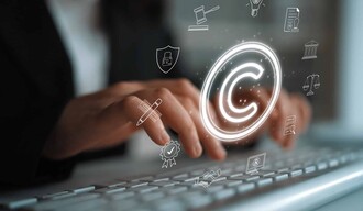 El escudo penal de la innovaci&oacute;n