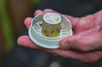 Una empresa en EE. UU. propone combatir los mosquitos con... 600,000 mosquitos