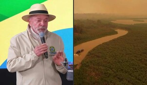 La deforestaci&oacute;n en la Amazon&iacute;a brasile&ntilde;a registr&oacute; un nuevo r&eacute;cord m&iacute;nimo