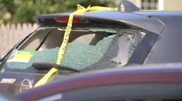 Miembro de los Trinitarios se declara culpable por su participaci&oacute;n en tiroteo mortal Massachusetts