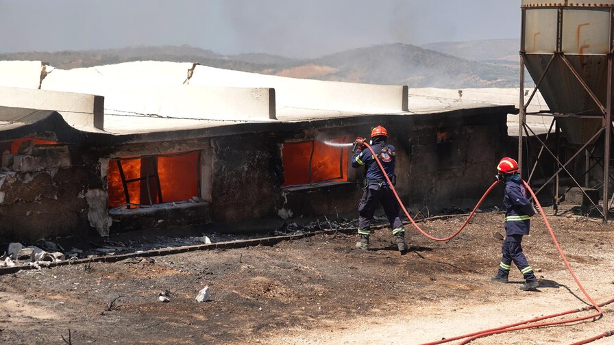 Grecia lucha contra nuevo incendio cerca de Atenas avivado por fuertes vientos Grecia lucha contra nuevo incendio cerca de Atenas avivado por fuertes vientos
