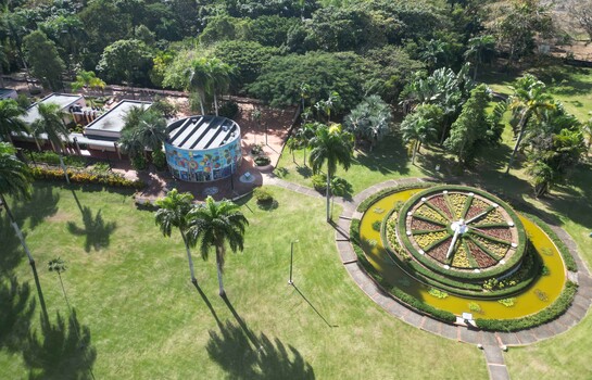 El Jard&iacute;n Bot&aacute;nico Nacional celebra su 50 aniversario con entrada gratuita y actividades