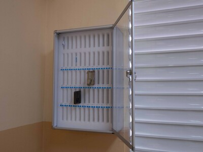 Restricciones en el uso de celulares en colegios