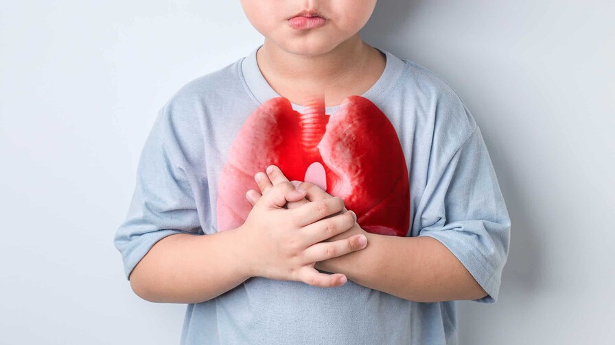 El aire que respiran nuestros niños y envejecientes y la ecología de las enfermedades El aire que respiran nuestros niños y envejecientes y la ecología de las enfermedades