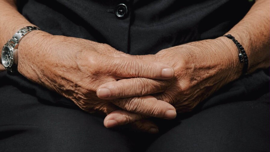 Investigadores dominicanos vinculan cambios en la microbiota intestinal con el deterioro cognitivo Investigadores dominicanos vinculan cambios en la microbiota intestinal con el deterioro cognitivo