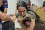 Antonio, el perro rescatado de los escombros alimenta la esperanza de una familia en Cali