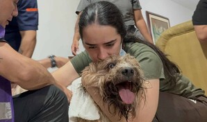 Antonio, el perro rescatado de los escombros alimenta la esperanza de una familia en Cali