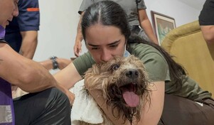 Antonio, el perro rescatado de los escombros alimenta la esperanza de una familia en Cali