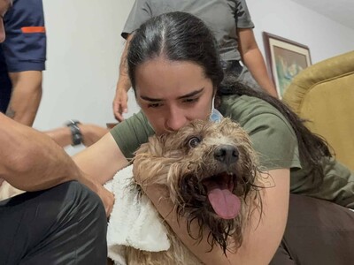 Perro rescatado de los escombros es símbolo de la esperanza en Cali