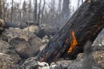 Segunda temporada de incendios arrancó con récord de fuegos Segunda temporada de incendios arrancó con récord de fuegos