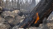 Segunda temporada de incendios arranc&oacute; con r&eacute;cord de fuegos